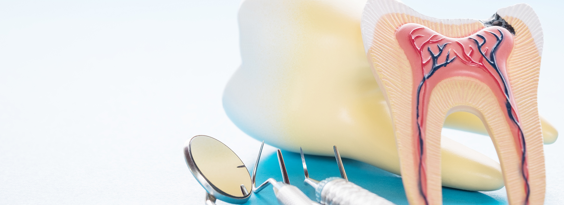 The image features a toothbrush and dental floss with a close-up of a mouth model, showcasing oral hygiene items.